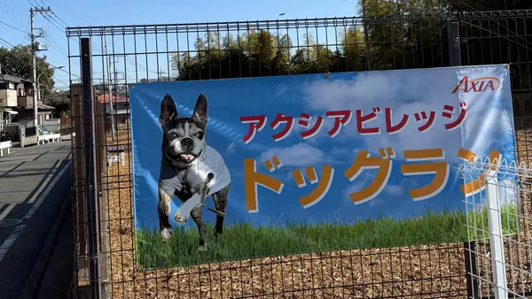 小麦の奴隷　相模原　ドッグラン