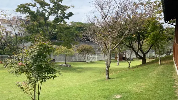 フィールド
