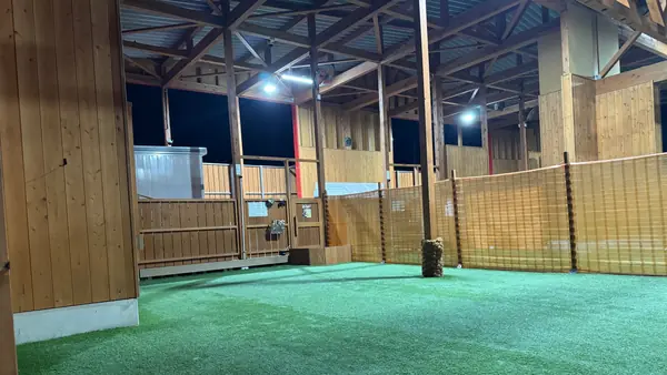 DOG RUN FIELD KkK（トリプルケー）