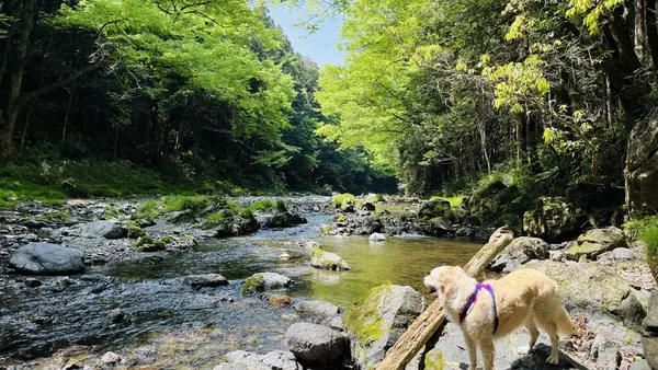 川エリア