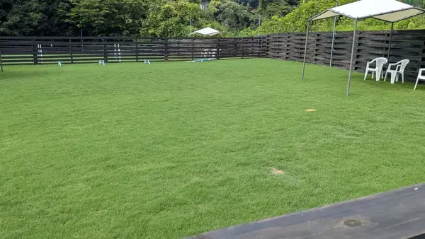 Akahai dog run