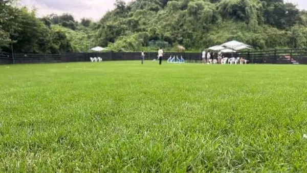 Akahai dog run