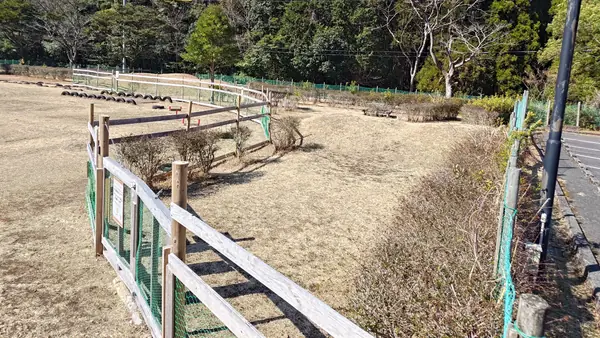 小型犬用フィールド