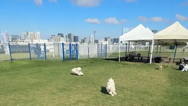 豊洲ぐるり公園 ドッグラン