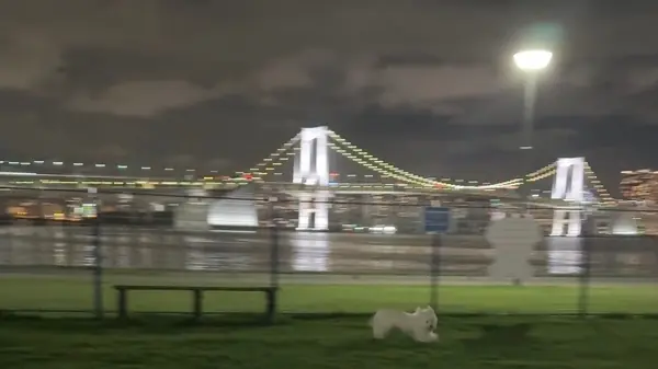 豊洲ぐるり公園 ドッグラン