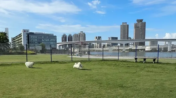 豊洲ぐるり公園 ドッグラン
