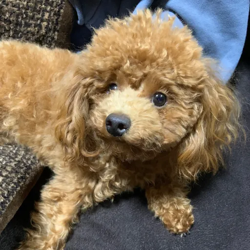 さぶろう