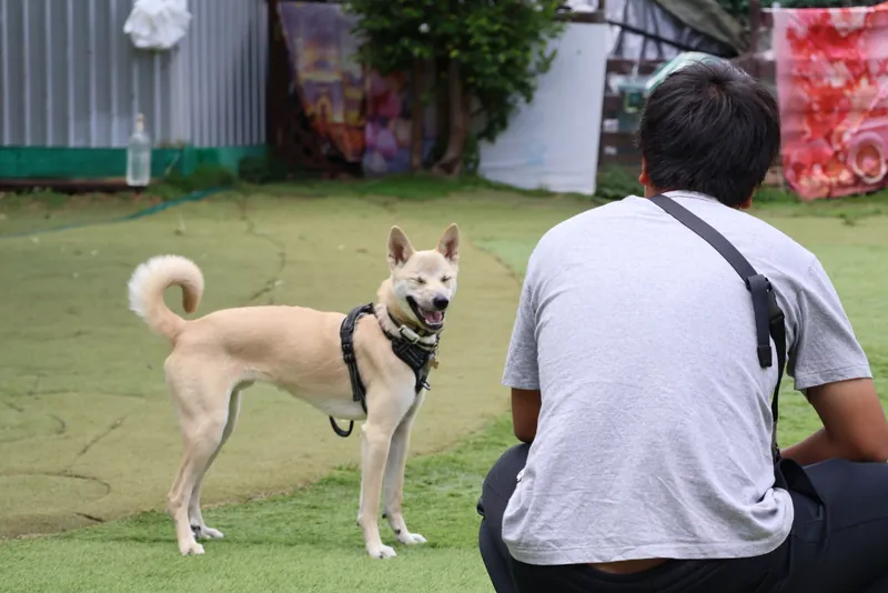 写真 1