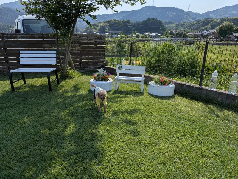 写真 4