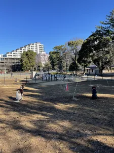 写真 5