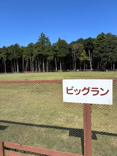 写真 2