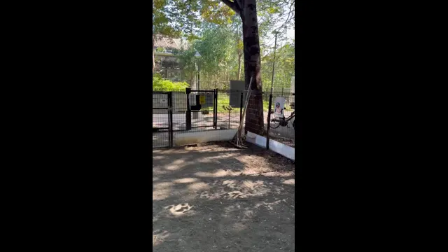 口コミ動画