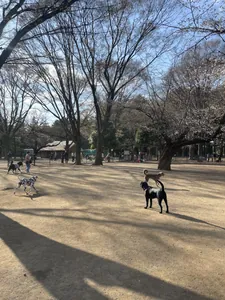 写真 3