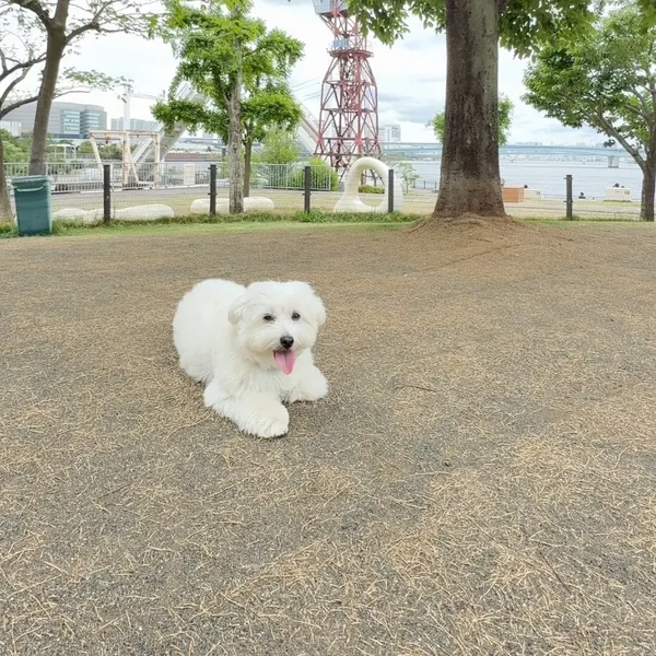 写真 3