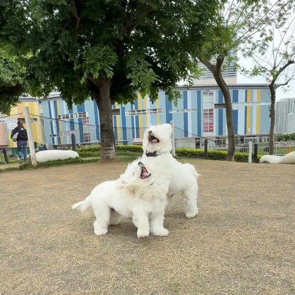 写真 2