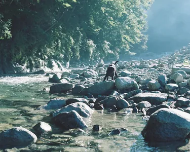 写真 3