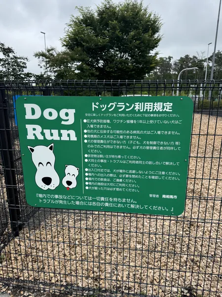 写真 1