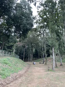 写真 3
