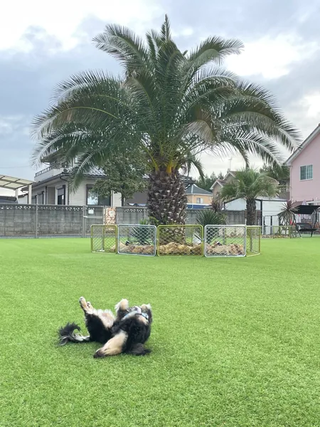 写真 3