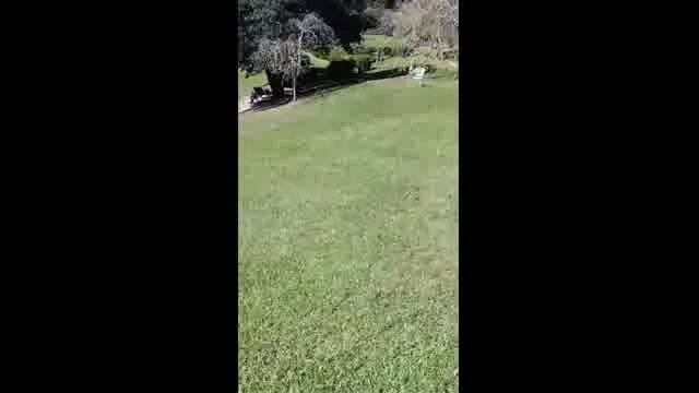 口コミ動画