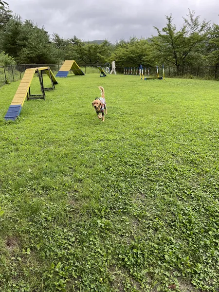 写真 1