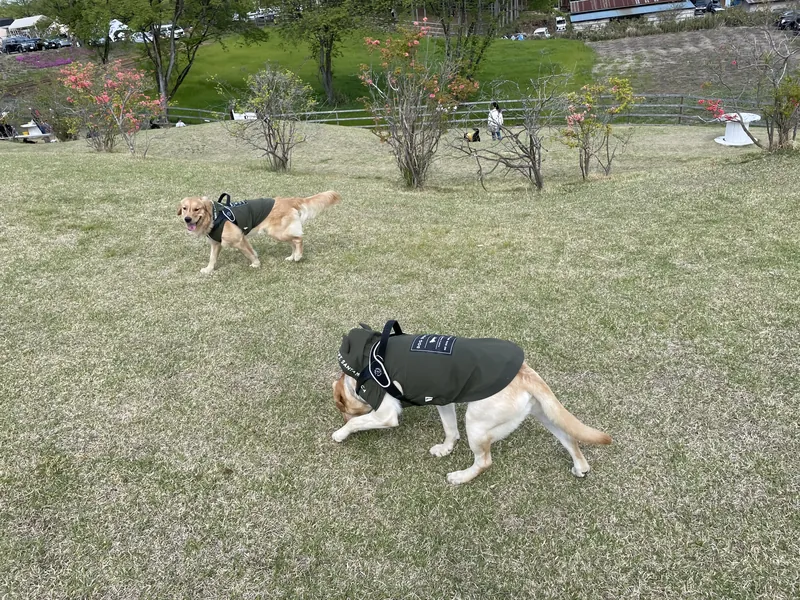 写真 3