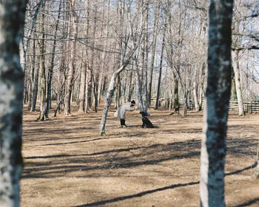 写真 4