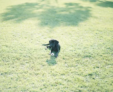 写真 5