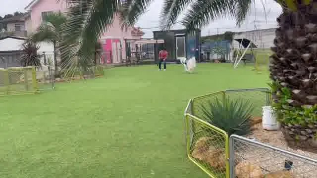 口コミ動画