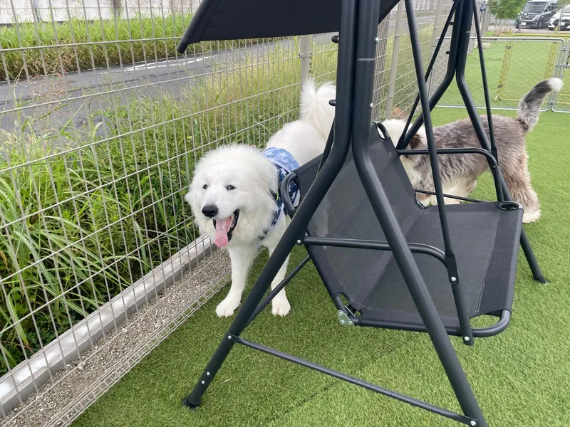 写真 3