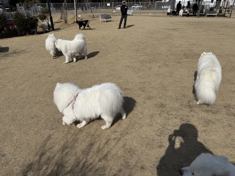 写真 2
