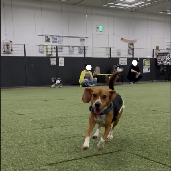 写真 1