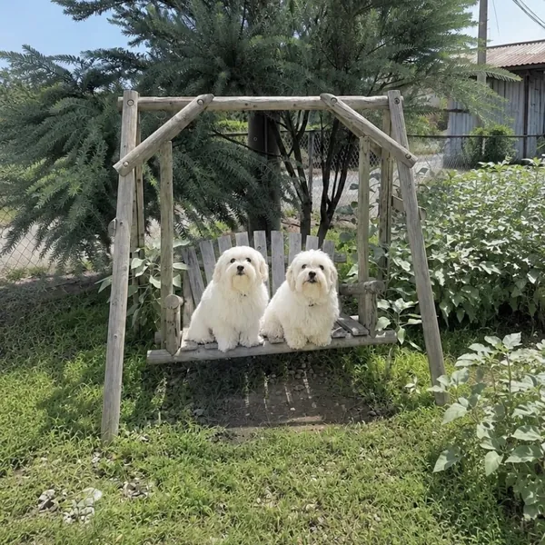 写真 1