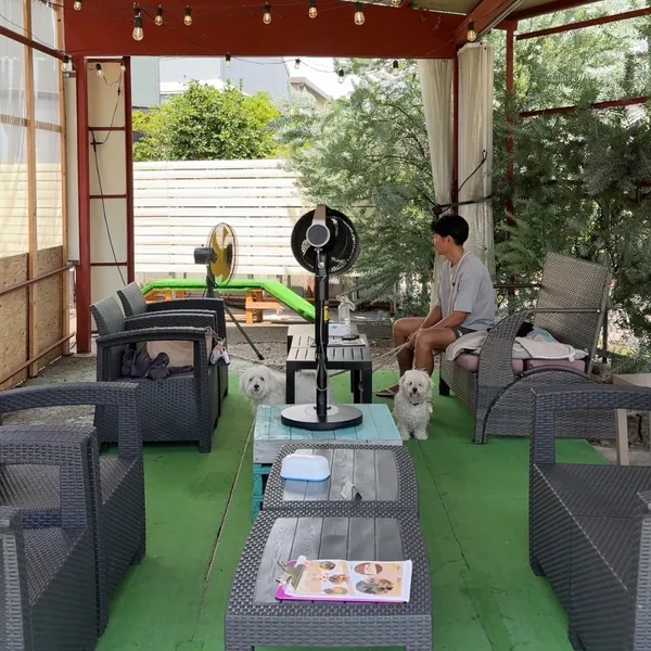 併設している青空カフェ
