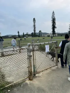 写真 3