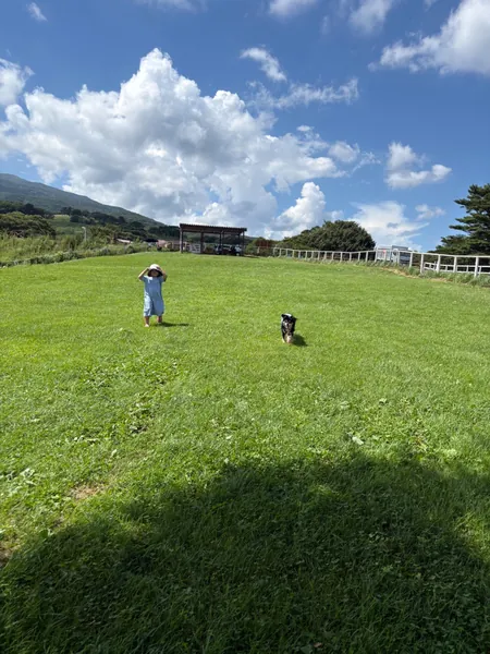 写真 1
