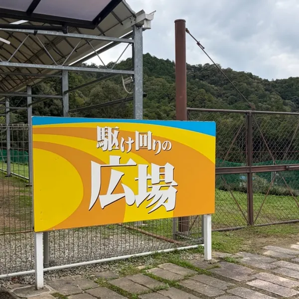 写真 2