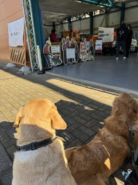 写真 3