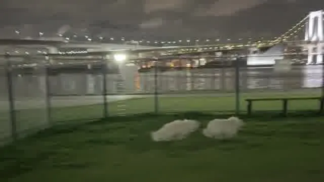 夜も安心してこれる！
