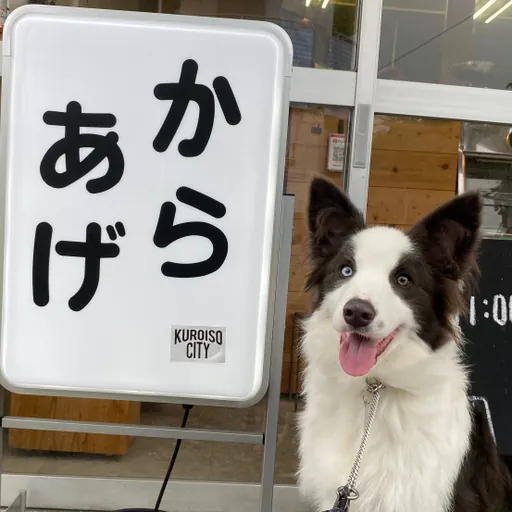 福レちゃんず