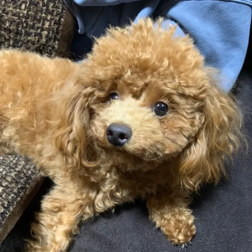 さぶろう