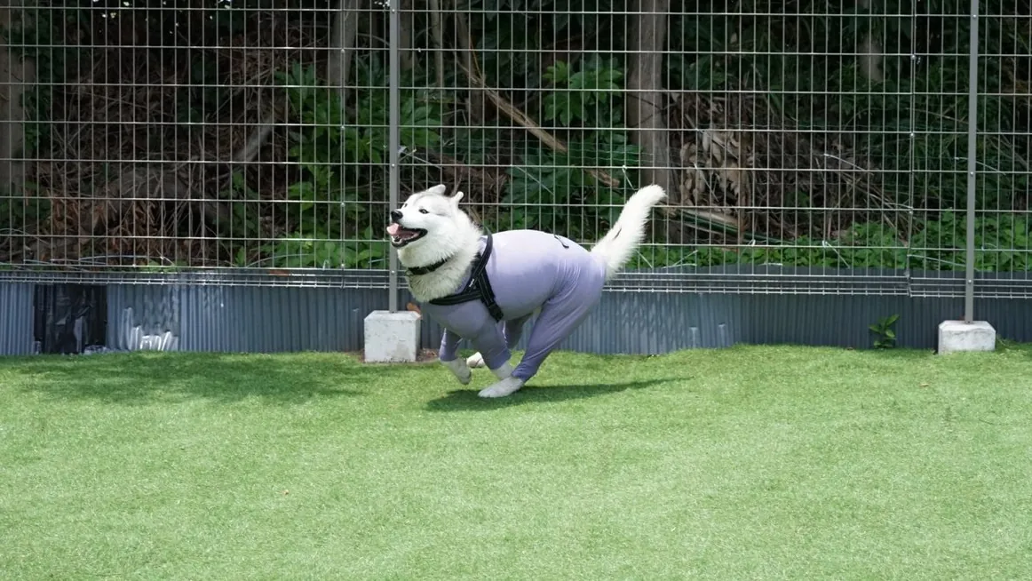 福のかぞく